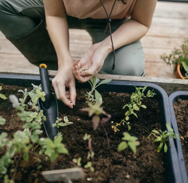 FISKARS 1072101 Solid lopatka přesazovací úzká, 65% recycled Obrázek