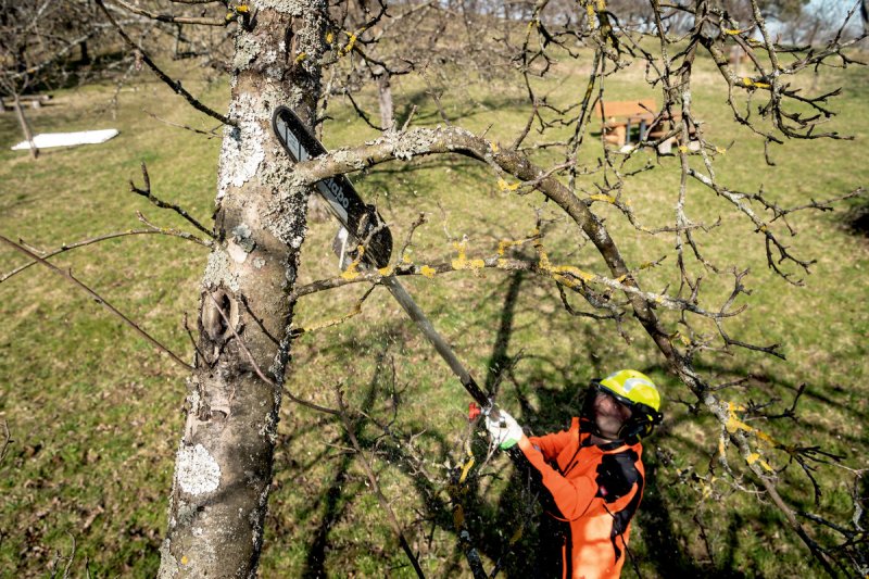 METABO MA-MS 25 nástavec s vyvětvovací řetězovou pilou 601727850 Obrázek