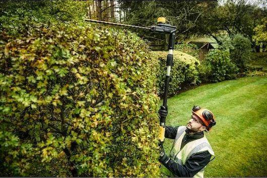 DeWALT DCMPH566N (verze bez aku) aku  plotostřih na  živé ploty Obrázek