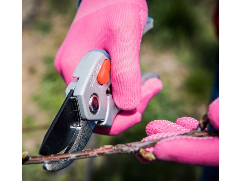 EXTOL PREMIUM 8872180 nůžky zahradnické s rohatkovým převodem Obrázek