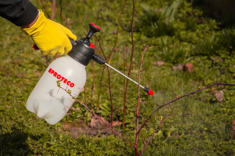 PROTECO 10.80-PT-02 postřikovač ruční tlakový 2.0 lit. Obrázek