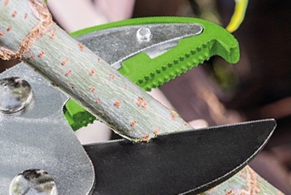 VERTO 15G251 převodové nůžky na větve 74cm Obrázek