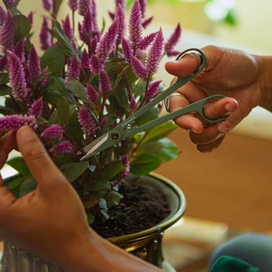 FISKARS Solid Reach Plant Care sada nůžek na rostliny s pouzdry 1075317, 3 ks Obrázek