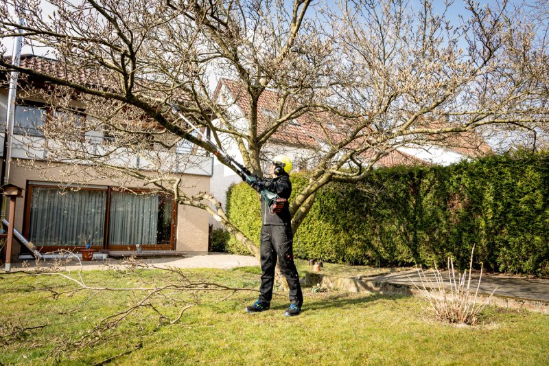 METABO MA-MS 25 nástavec s vyvětvovací řetězovou pilou 601727850 Obrázek