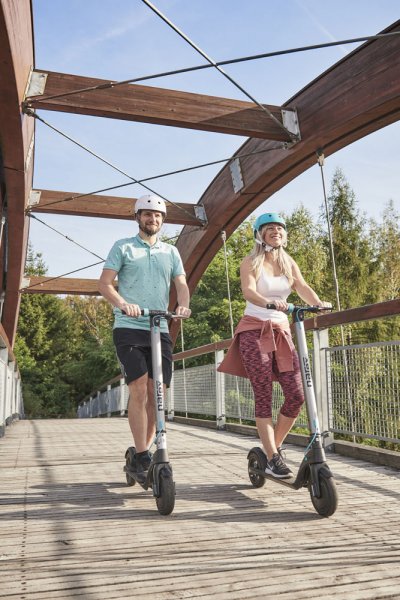 NAREX ESN 350 akumulátorová koloběžka 36V 6,4Ah 65405349 Obrázek