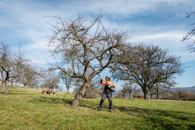 METABO MA-MS 25 nástavec s vyvětvovací řetězovou pilou 601727850 Obrázek