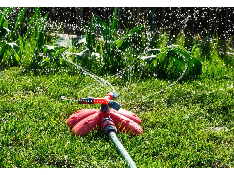 EXTOL PREMIUM 8876466 zavlažovač kruhový pokládací tříramenný - motiv motýl Obrázek