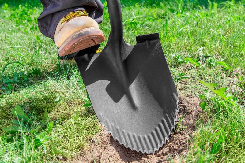 VERTO 15G001 rýč T-Rex špičatý, dřevěná násada, rukojeť Obrázek