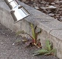 Dedra DED7975 Obrázek