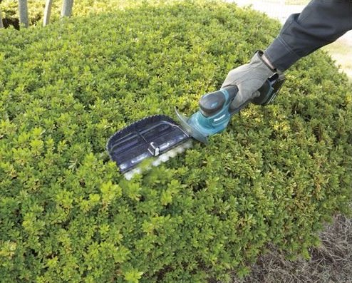 MAKITA DUM604ZX aku nůžky na trávu a keře  LXT LiIon 18V, bez akumulátoru Obrázek