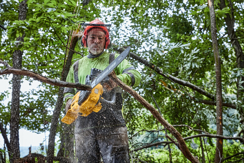 DeWALT DCMCS575N (verze bez aku) 54V aku řetězová pila FlexVolt XR - lišta 50 cm Obrázek
