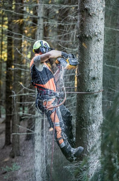 DeWALT DCMCST635N aku řetězová pila 35cm s horní rukojetí 54 V XR FLEXVOLT bez aku Obrázek